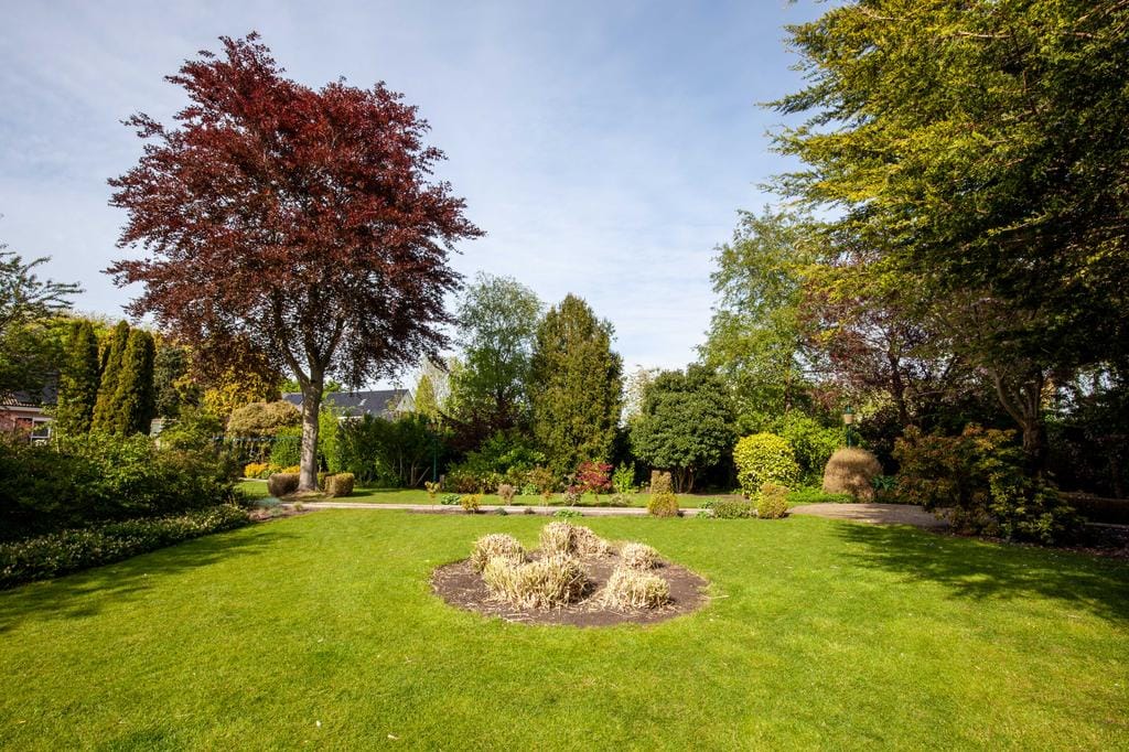 Foto 29 van Aalsmeerderweg 14