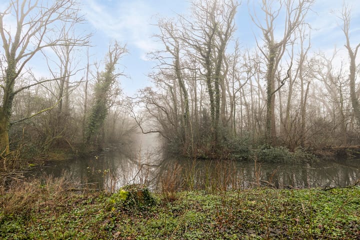 Foto 49 van Boomstede 387