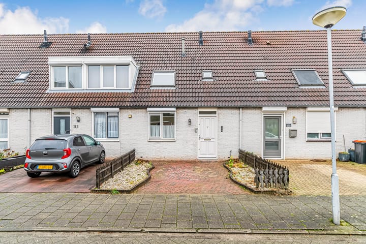 Foto 1 van Groen van Prinstererlaan 119