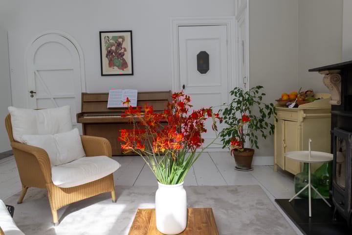 Foto 12 van Bornhovestraat 43