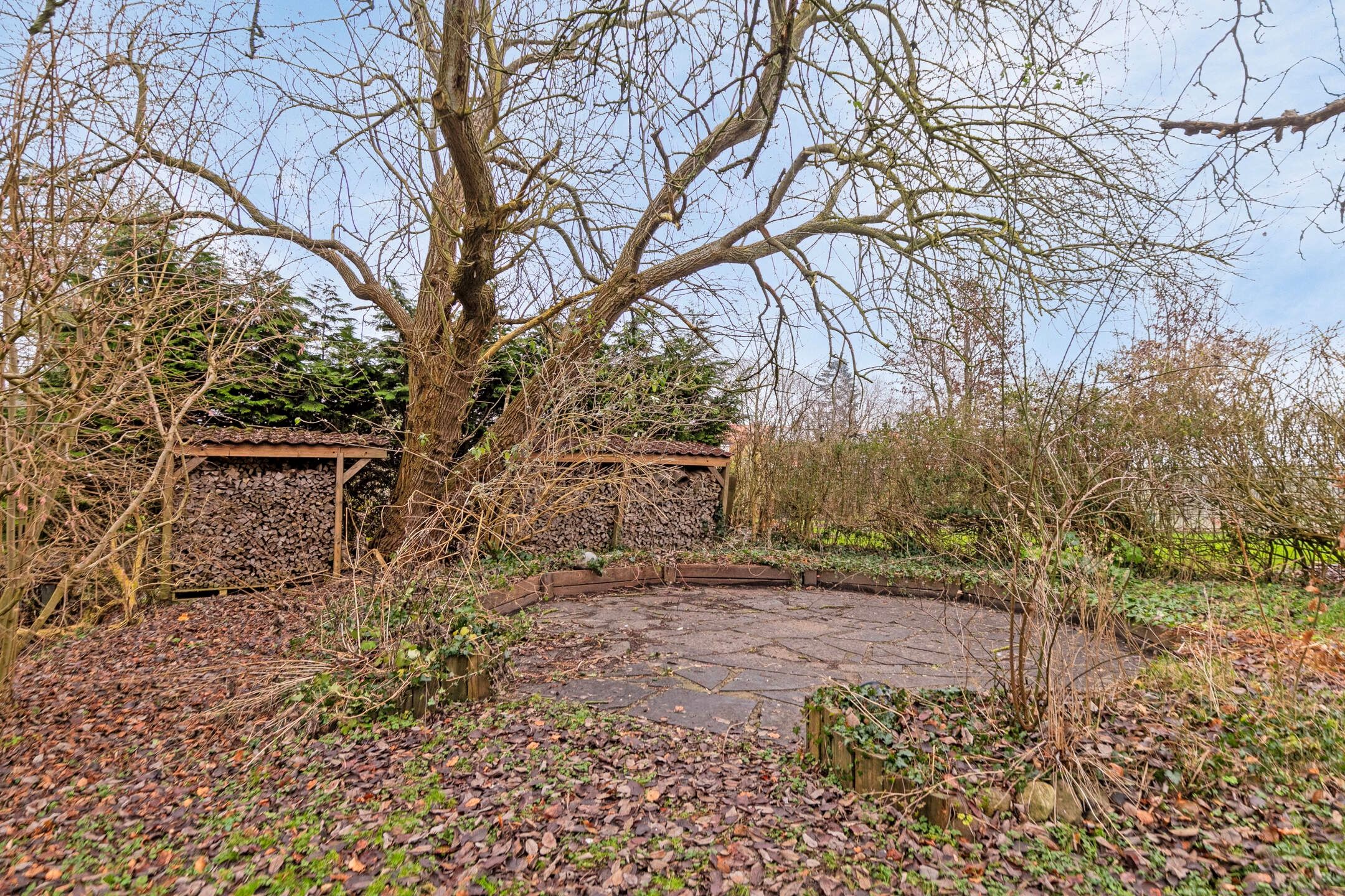 Photo 48 of Bunderweg 16