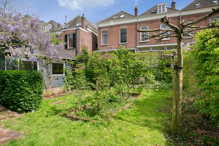 Foto 66 van Bornhovestraat 43