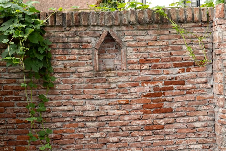 Foto 69 van Bornhovestraat 43