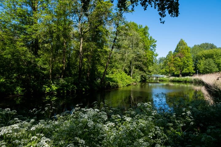 Foto 32 van Orteliusstraat 98-1