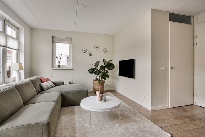 Foto 6 van Lover 180