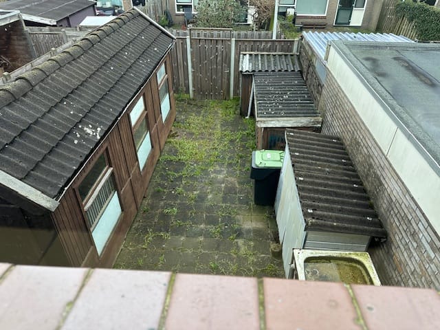 Photo 3 of Galjoot 11