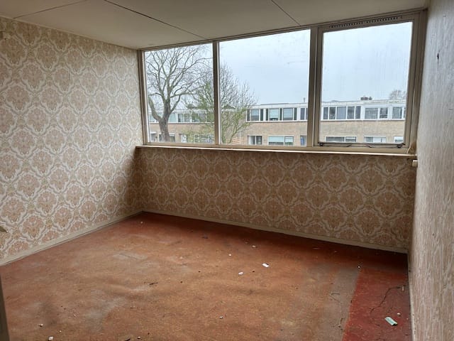 Photo 8 of Galjoot 11