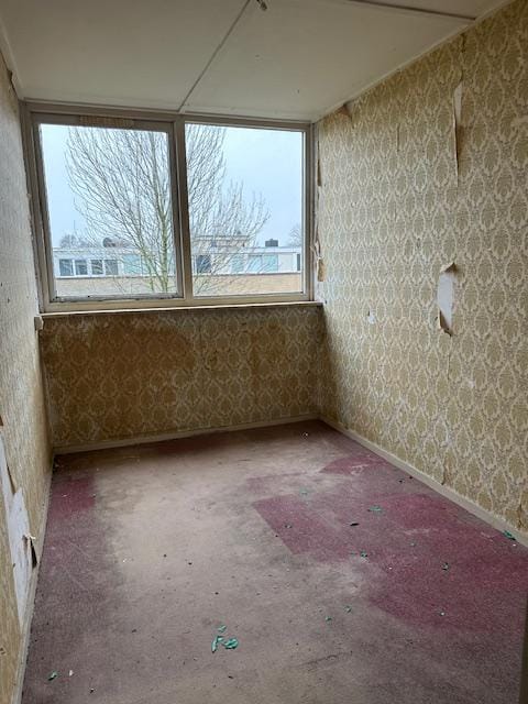 Photo 9 of Galjoot 11