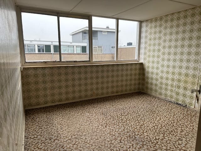 Photo 10 of Galjoot 11