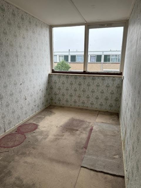 Photo 11 of Galjoot 11