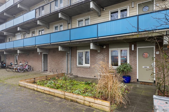 Foto 3 van Chilidreef 9