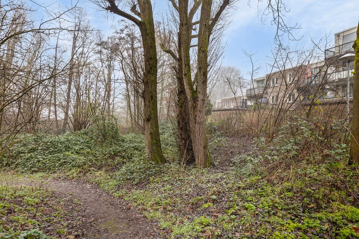 Foto 37 van Chilidreef 9