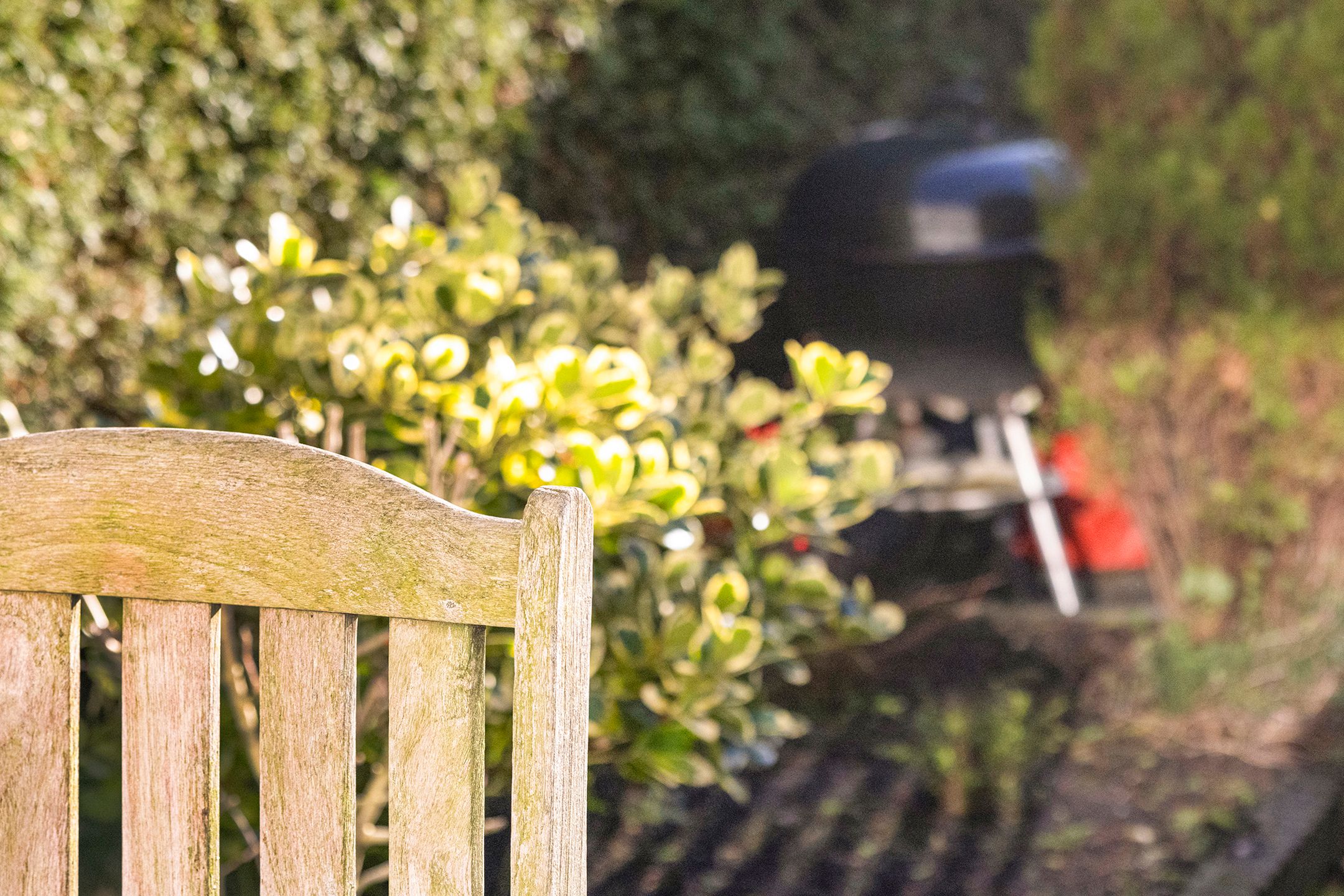 Foto 33 van Dreessingel 10