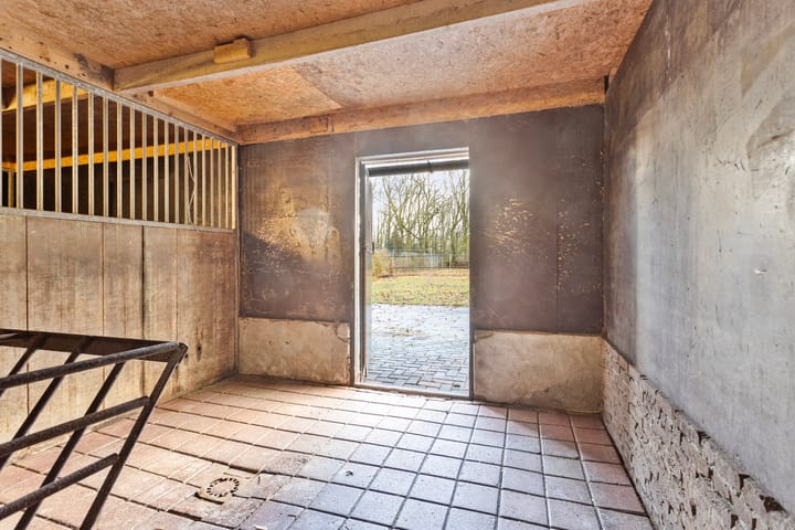 Foto 47 van Mûntsegroppe 3