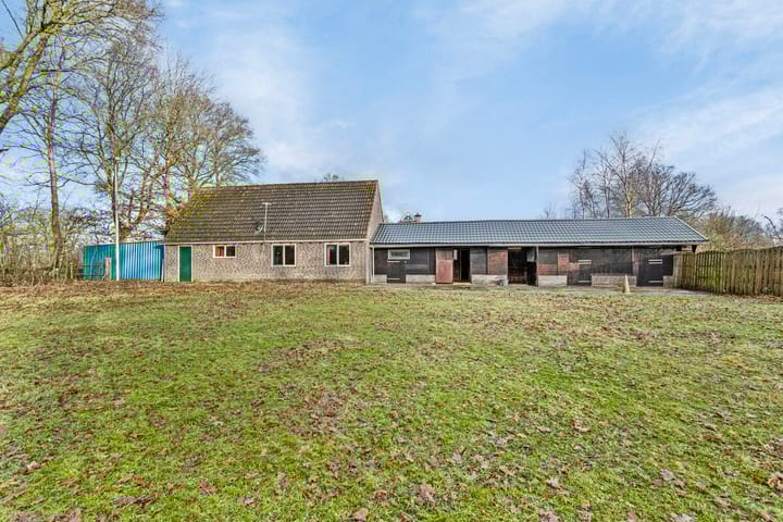 Foto 50 van Mûntsegroppe 3