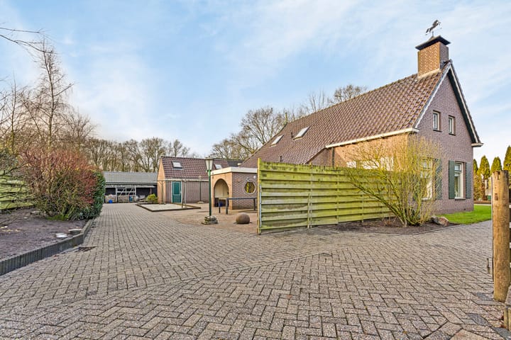 Foto 53 van Mûntsegroppe 3