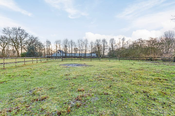 Foto 60 van Mûntsegroppe 3