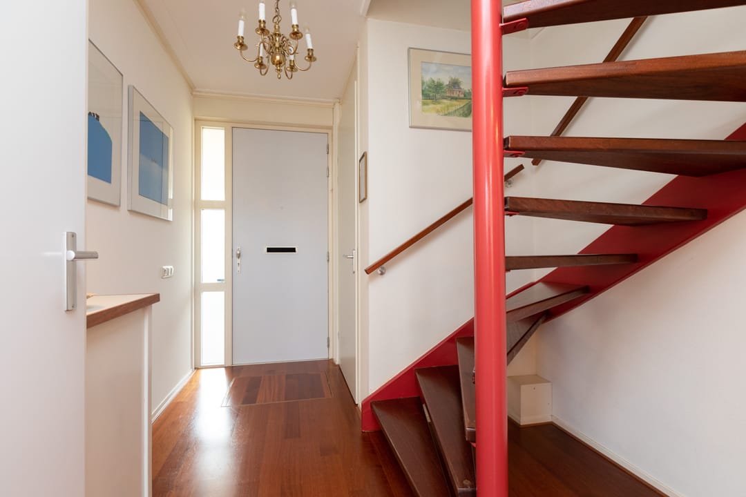 Photo 16 of Riepel 19