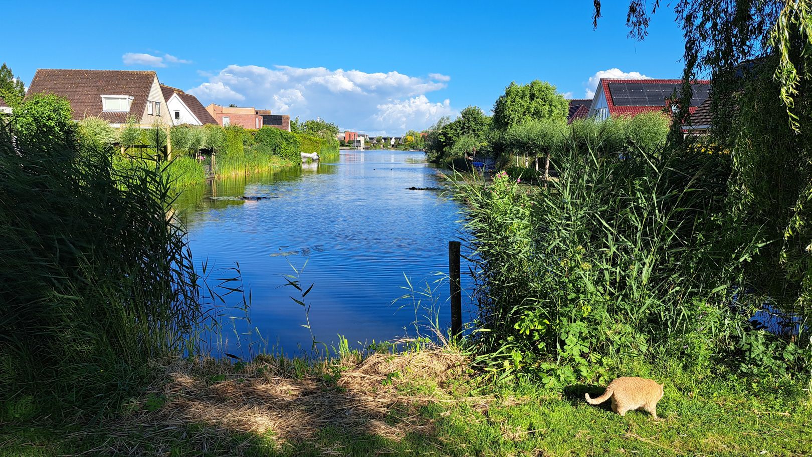 Photo 54 of Riepel 19