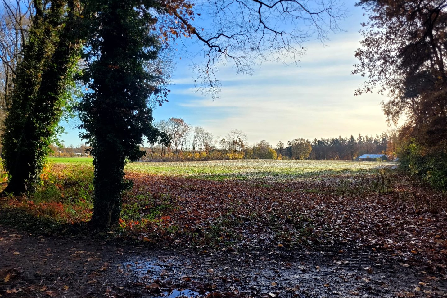 Bekijk foto 4 van Zutphenseweg