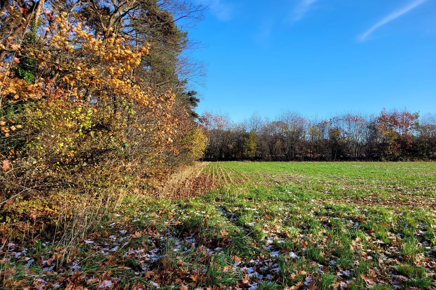 Bekijk foto 3 van Zutphenseweg