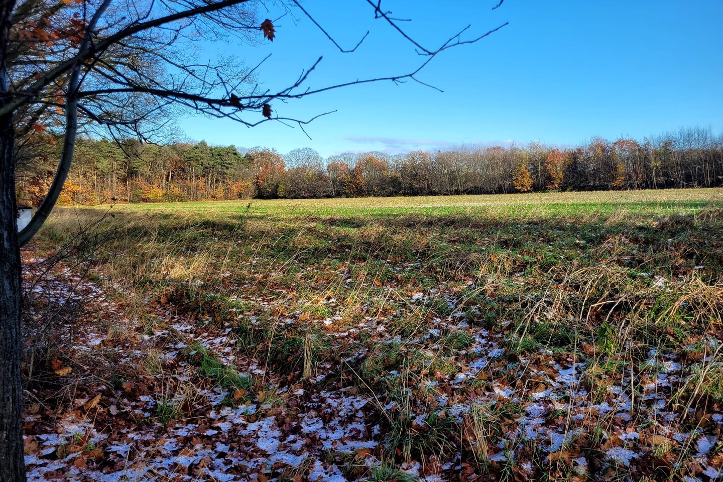 Bekijk foto 1 van Zutphenseweg