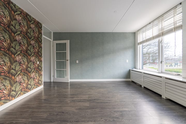 Foto 6 van Pollux 50