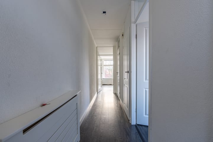 Foto 10 van Pollux 50