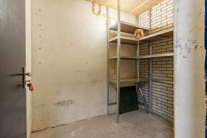 Foto 14 van Pollux 50