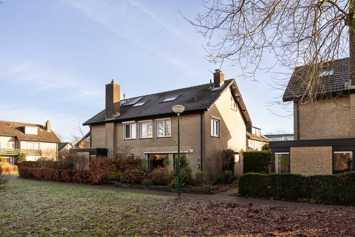 Foto 1 van Hondsroos 7