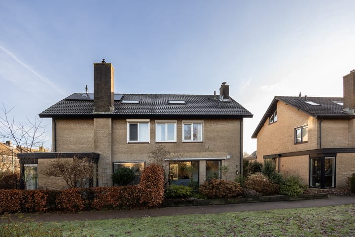 Foto 2 van Hondsroos 7