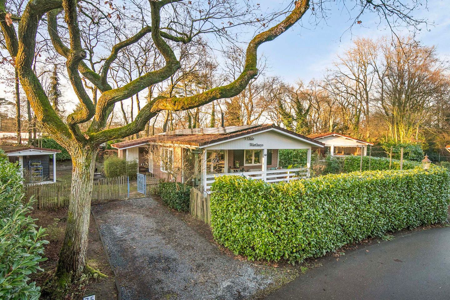 Foto 1 van Barchman Wuytierslaan 81-35