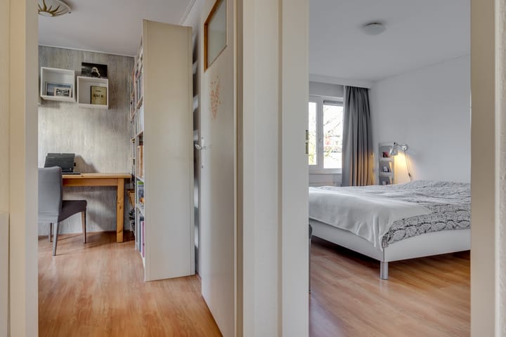 Foto 15 van Hondsroos 7