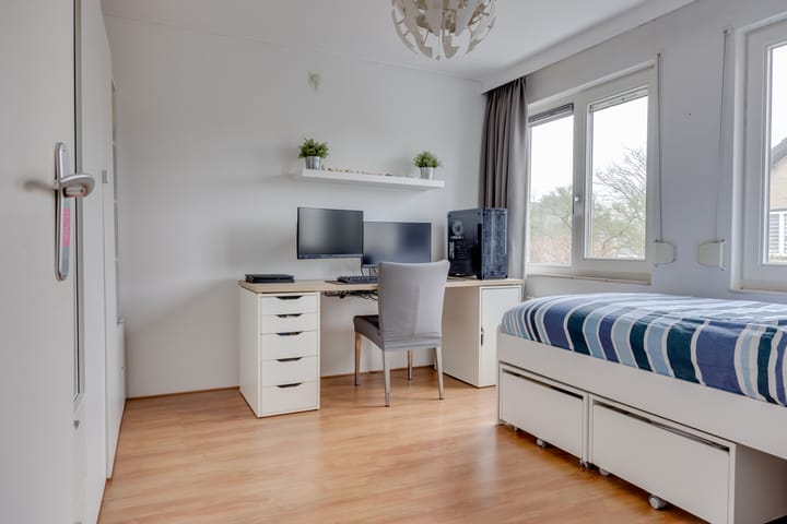 Foto 21 van Hondsroos 7