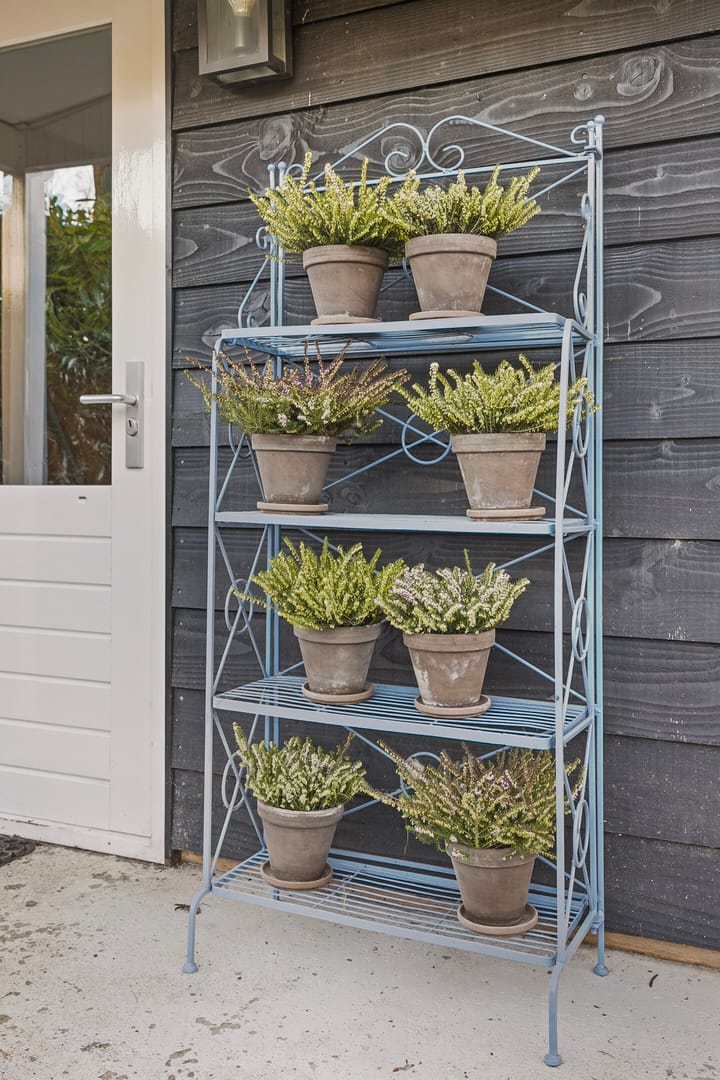 Photo 31 of Barchman Wuytierslaan 81-35