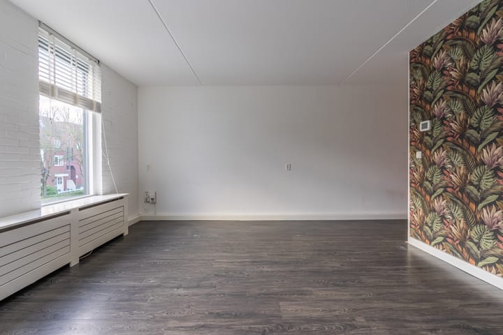 Foto 3 van Pollux 50