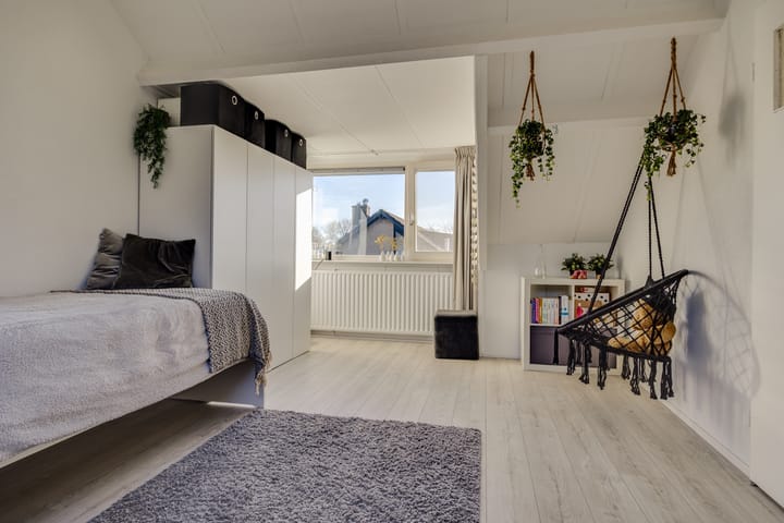 Foto 24 van Hondsroos 7