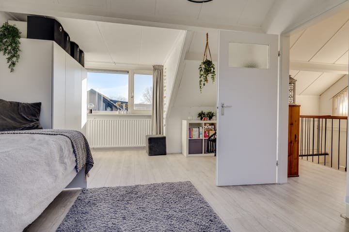 Foto 25 van Hondsroos 7