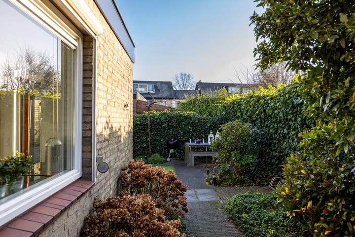 Foto 27 van Hondsroos 7