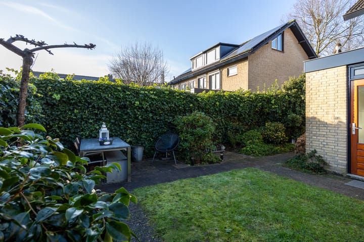 Foto 29 van Hondsroos 7