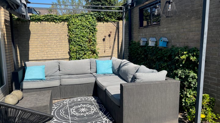 Foto 32 van Hondsroos 7