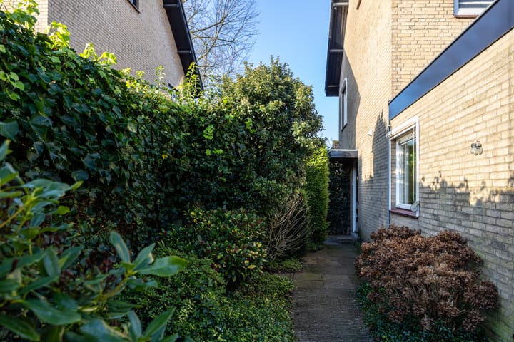 Foto 35 van Hondsroos 7