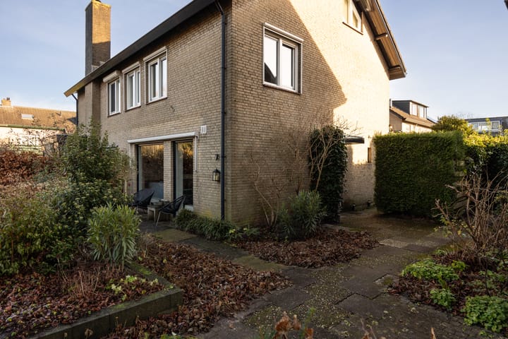 Foto 36 van Hondsroos 7