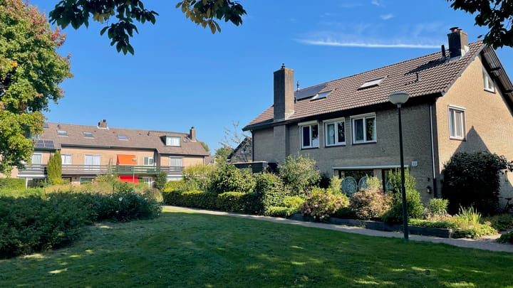 Foto 38 van Hondsroos 7