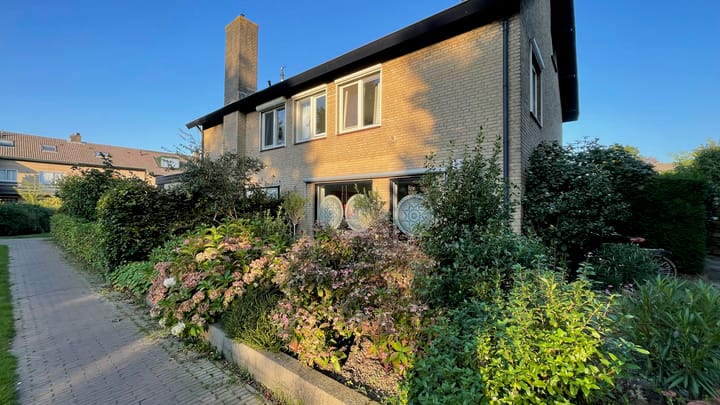 Foto 39 van Hondsroos 7