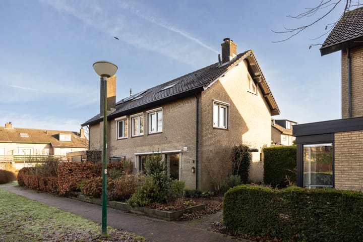 Foto 40 van Hondsroos 7