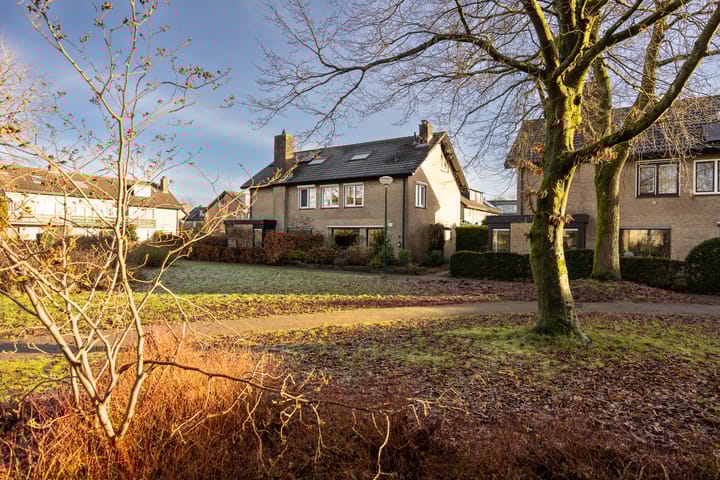 Foto 41 van Hondsroos 7