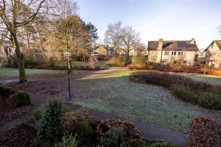 Foto 42 van Hondsroos 7