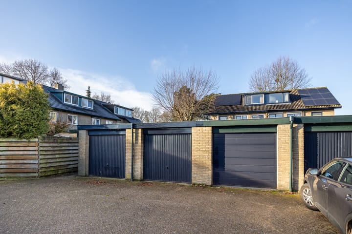 Foto 45 van Hondsroos 7