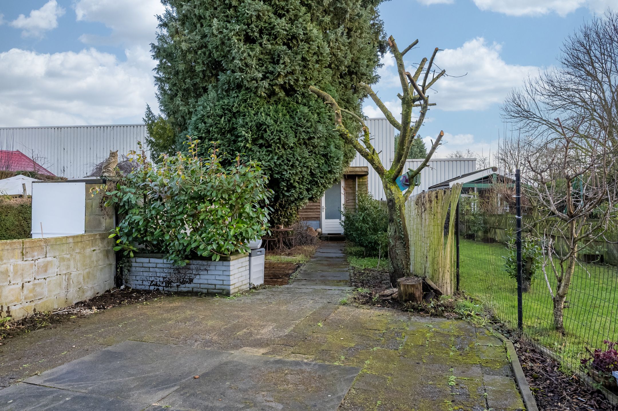 Foto 30 van Bleijerheiderstraat 53